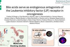 Just published: Bile acids  function as LIFR antagonists